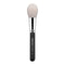 F603 - DOME POWDER BRUSH